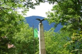 Clicca qui per vedere l'immagine in dettaglio